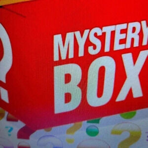 Reseller Mystery Box 11 pieces of  women's clothing Large